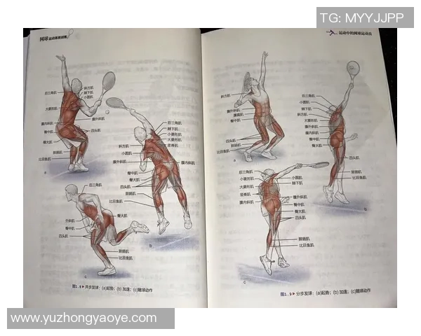围绕网球运动深入探索技巧训练提升路径与比赛策略全景指南实用篇 围绕网球运动深入探索技巧训练提升路径与比赛策略全景指南实用篇