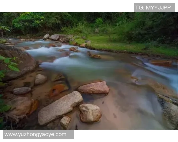 跳水运动的力量与美感探秘从空中跃动到水花绽放的极致瞬间