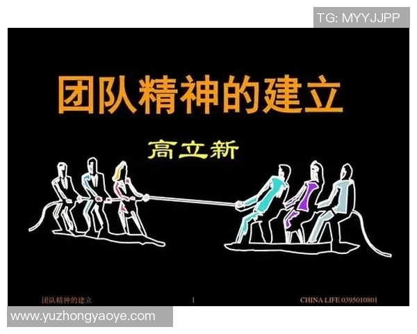 GEN战队勇夺冠军背后的故事与团队精神的力量分析 GEN战队勇夺冠军背后的故事与团队精神的力量分析